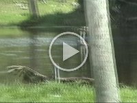 Untitled Clip 01 23